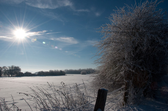 Eisige Sonne