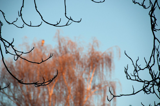 (: Das wird ein guuuter Tag! :)