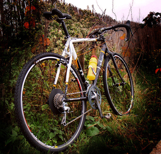 Familienzuwachs bei Familie G