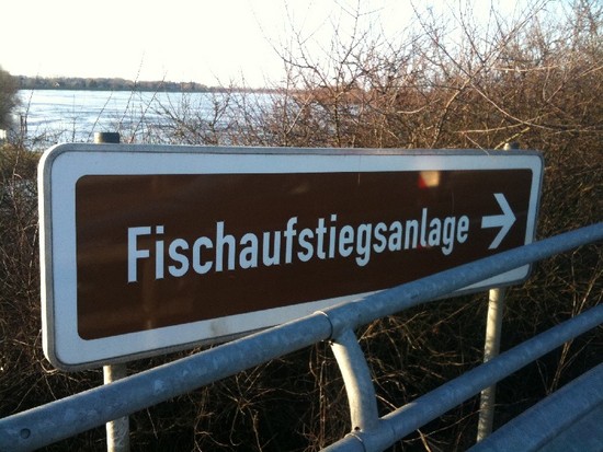 2011 01 16 Fischaufstiegsanlage