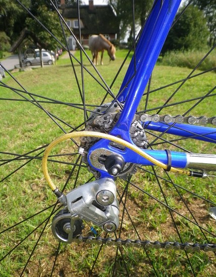 1198BlueOlmoRearDerailleur