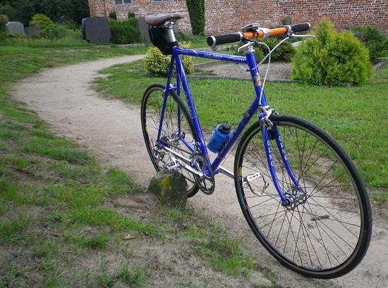 1198BlueOlmoWasserhorst3