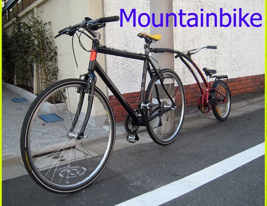 1202BergamontBelugaplusSlipstream