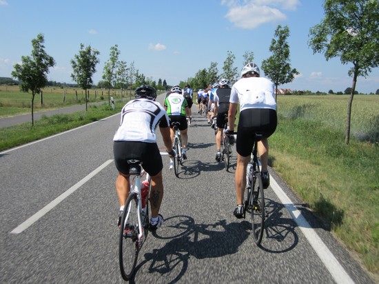 Spargelrunde-2011121