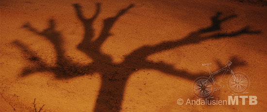 AndalusienMTB08