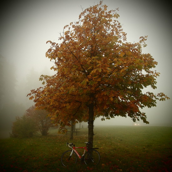 autumn-bike
