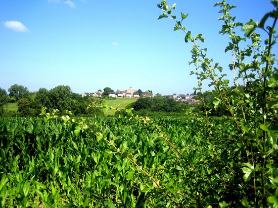 10 Gemmenich-Moresnet