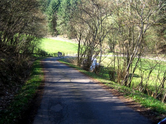 ebenfalls Anstieg Hausen