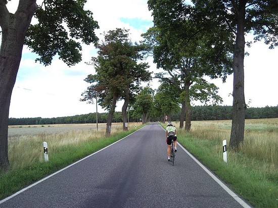 16.8 brandenburg: allez allee