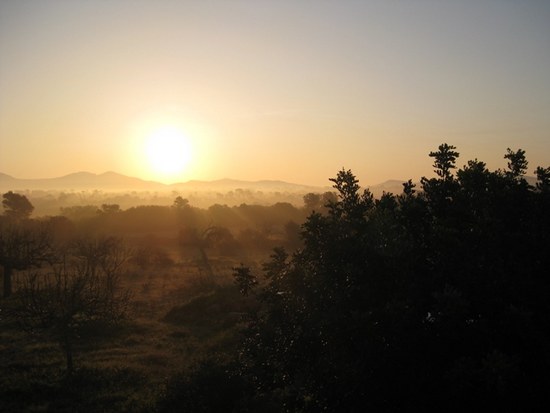 Sonnenaufgang auf Malle