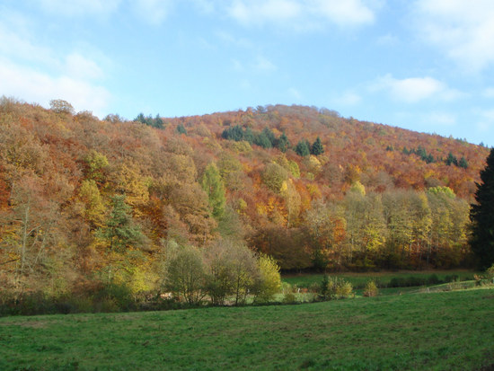 Taunus Herbst